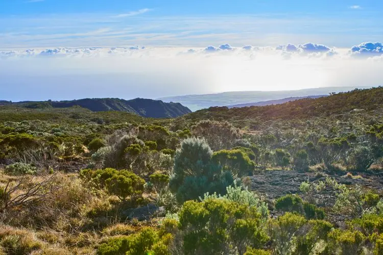 Une vue panoramique sur la Roche Écrite