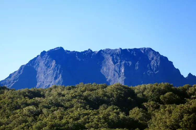 Le Piton des neiges vu de loin, derrière de la végétation, sur l'Ile de La Réunion