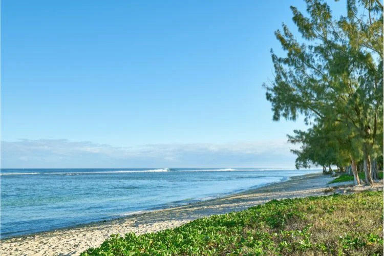 La plage de la Saline sur l'île de la Réunion.