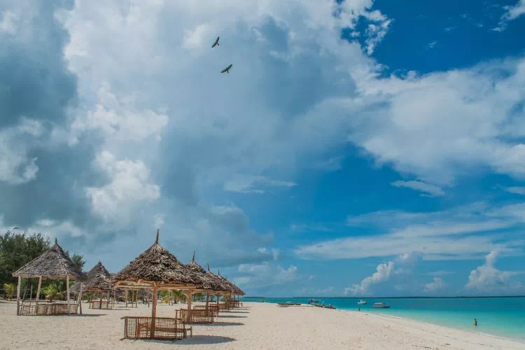 Plage de Paje Beach à zanzibar