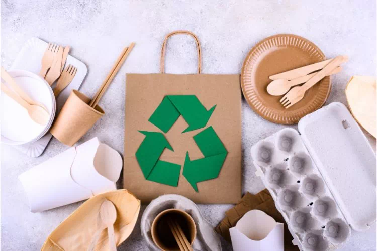 Ensemble de produits éco-responsables en papier ou carton