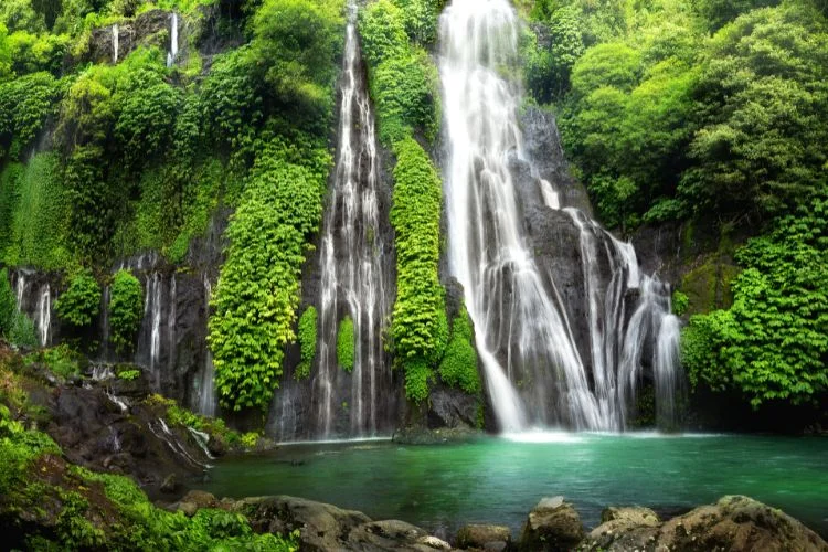 Une grande cascade d'eau douce au cœur de la forêt à Bali
