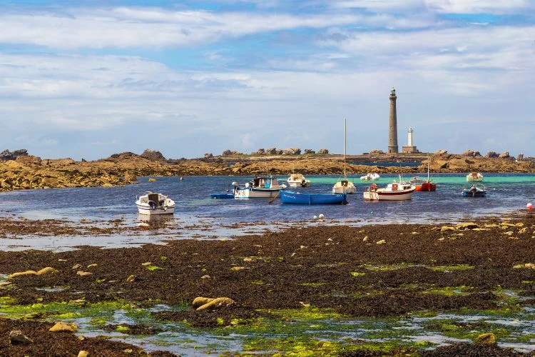 Port à marée basse sur la côte d'Émeraude en Bretagne.