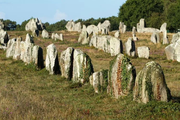 Des petits menhirs alignés en Bretagne près de la ville de Carnac.