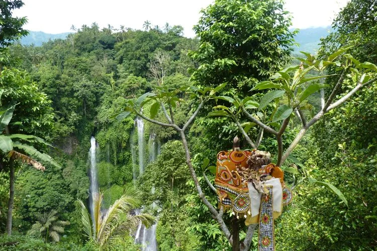 Paysage de forêt tropical au cœur de Bali