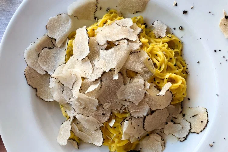 Une belle assiette de spaghetti à la truffe blanche d'Alba.