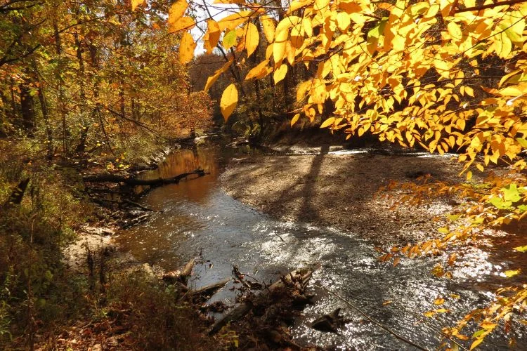 Un ruisseau du Rock Creek Park à Washington