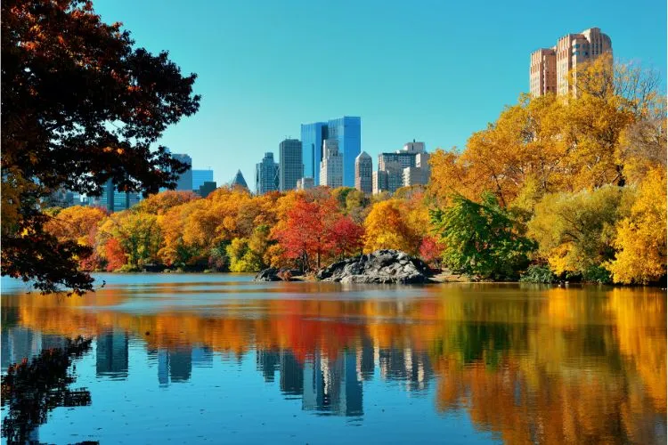 Central Park New York