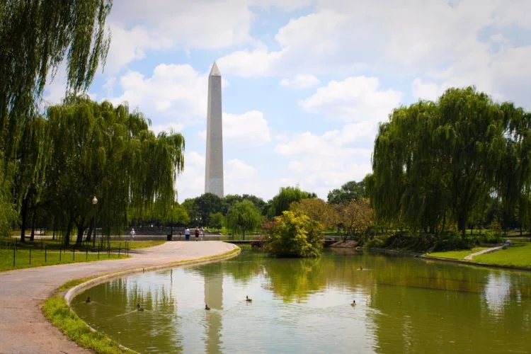 Le Constitution Garden au centre de Washington