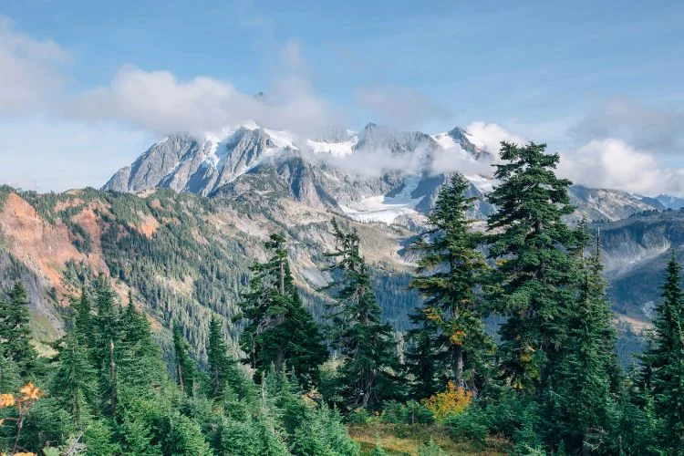 Une vue du mont Shuksan dans l'État de Washington