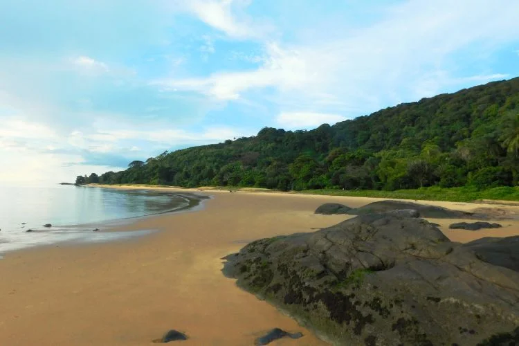 La plage déserte de Montjoly-rémire en Guyane