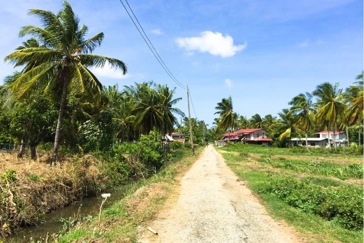 L'allée d'un village en Guyane française.