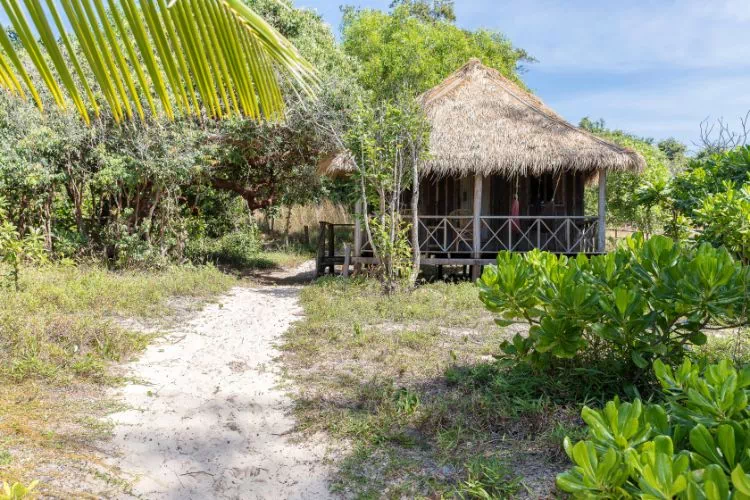 Intérieur de l'île