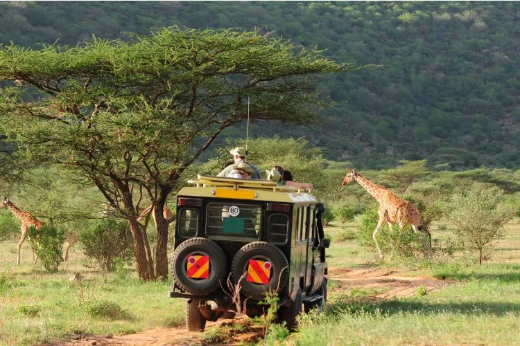 Safari au Kenya avec des girafes à l'arrière plan