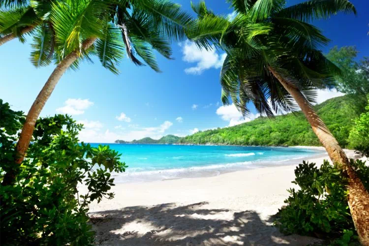 Plage sur Mahé aux Seychelles