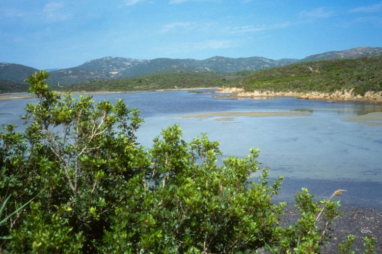 Plage de Benedettu en Corse