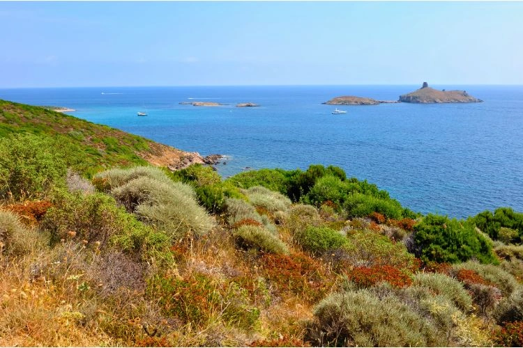 Haute-corse