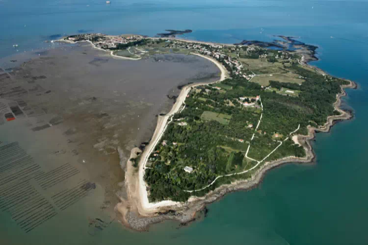 Vue aérienne de l'île de l'Aix
