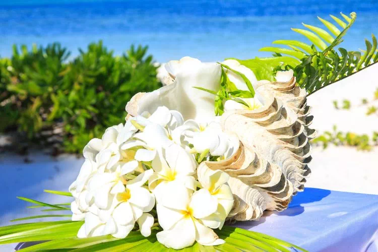 Bouquet de fleurs de frangipanier