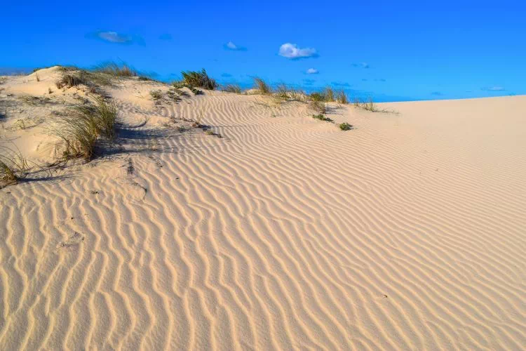Etendue de sable à Djerba