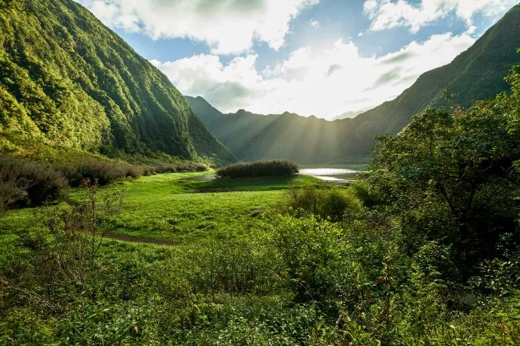 Etendue d'herbe près d'un Lac