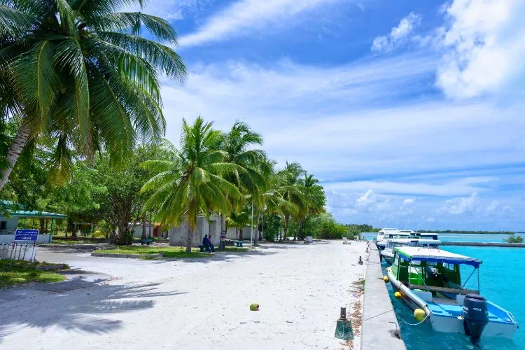 Île-Maurice