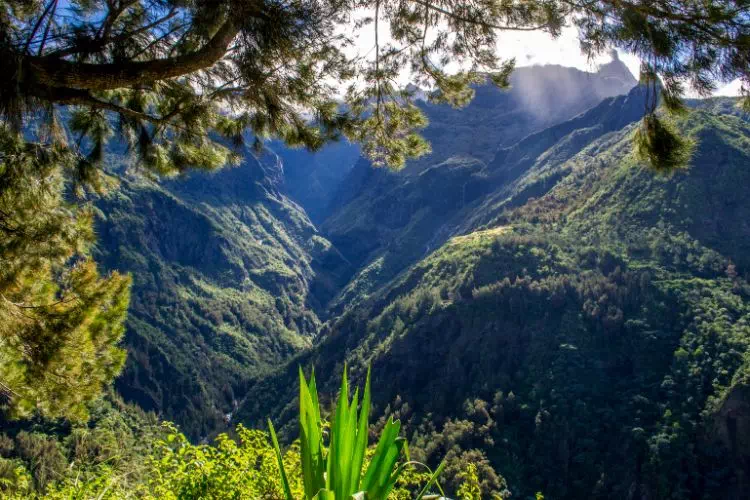 Montagnes de l'île de la Réunion