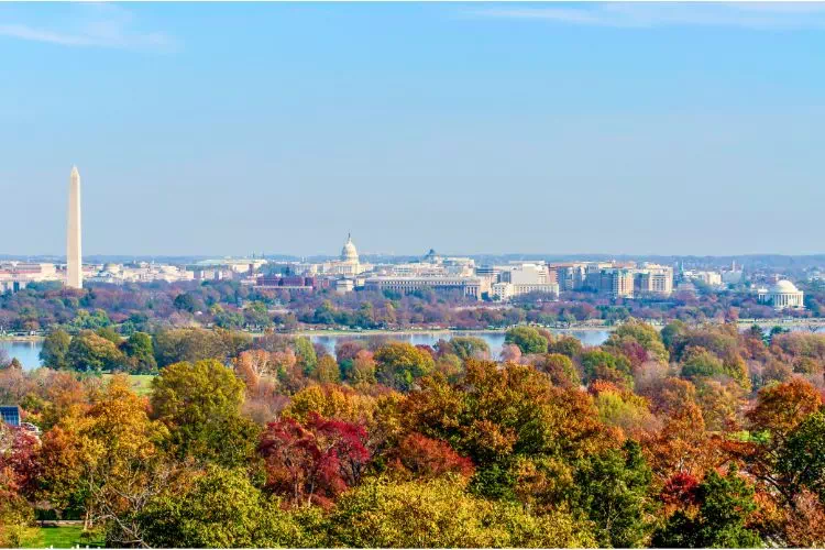 Vu sur Washington