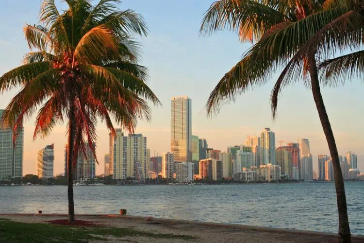 Miami skyline